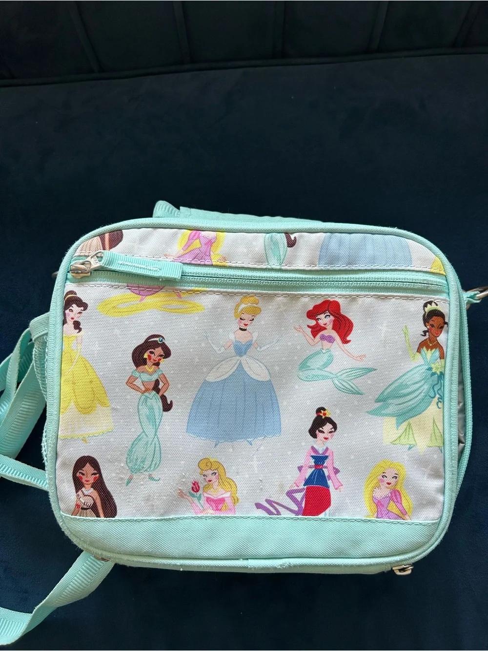 Disney princess themed